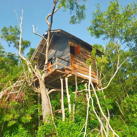 Rumah Pohon