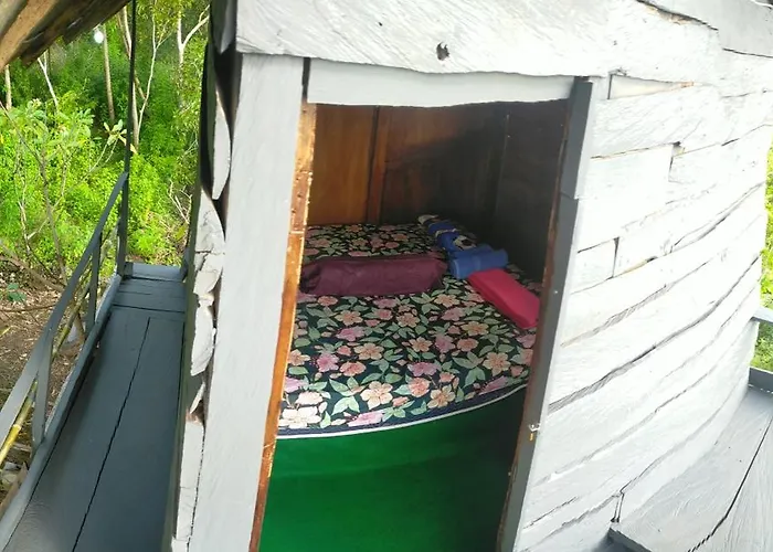 Rumah Pohon