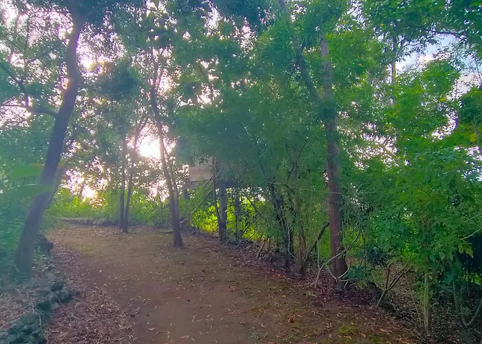 Rumah Pohon Ferienpark Batununggul