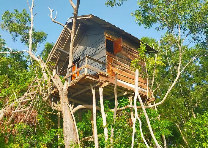 Rumah Pohon Ferienpark