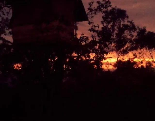 Rumah Pohon 2*