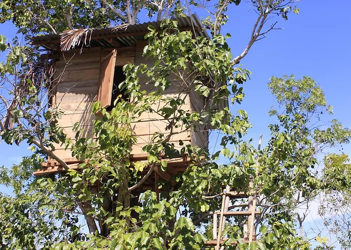 Rumah Pohon 2*