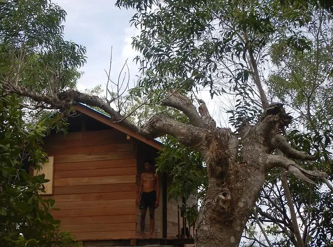 Rumah Pohon