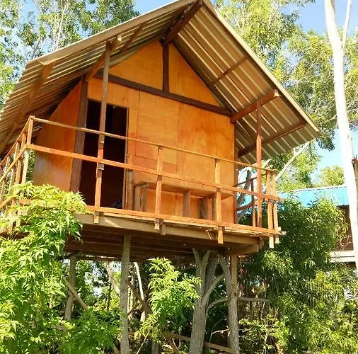 Rumah Pohon 2*