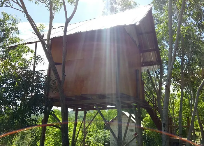 Rumah Pohon